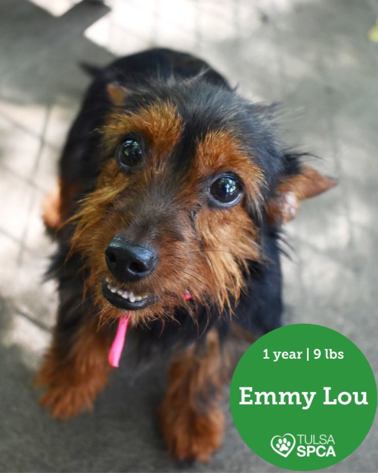 Emmy Lou